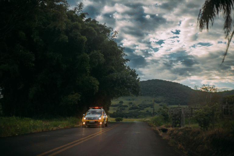 a police car on a lone road